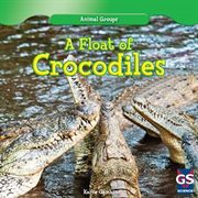 A float of crocodiles cover image