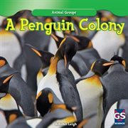 A penguin colony cover image