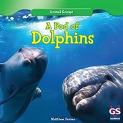 A pod of dolphins cover image