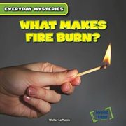 What makes fire burn? cover image