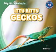 Itty bitty geckos cover image