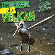 The life cycle of a pelican cover image