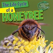 The life cycle of a honeybee cover image
