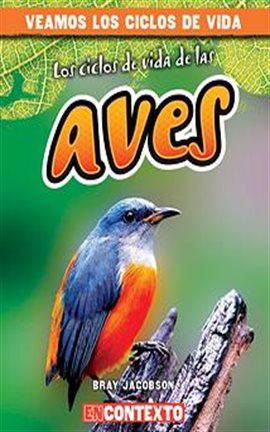 Cover image for Los ciclos de vida de las aves (Bird Life Cycles)