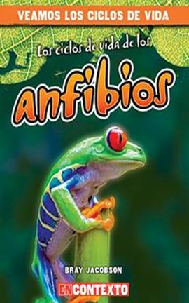 Cover image for Los ciclos de vida de los anfibios (Amphibian Life Cycles)