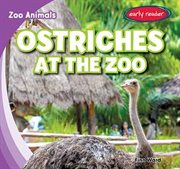 Ostriches at the zoo cover image