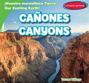 Cañones / canyons cover image