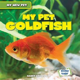 My Pet Goldfish