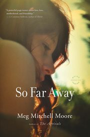 So Far Away : A Novel cover image