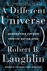 A Different Universe : Reinventing Physics From the Bottom Down cover image
