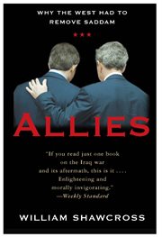 Allies : The U.S., Britain, and Europe in the Aftermath of the Iraq War cover image