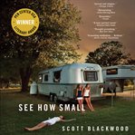 See How Small : A Novel cover image