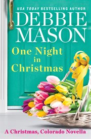 One Night in Christmas cover image