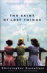 The Saint of Lost Things : A Novel cover image