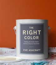 The Right Color cover image