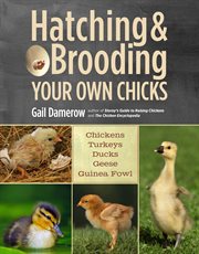 Hatching & brooding your own chicks cover image