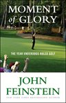 Moment of glory : the year underdogs ruled golf cover image