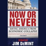 Now or Never : Saving America from Economic Collapse cover image