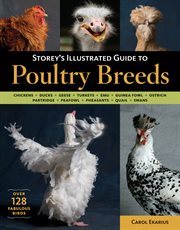 Storey's Illustrated Guide to Poultry Breeds : Chickens, Ducks, Geese, Turkeys, Emus, Guinea Fowl, Ostriches, Partridges, Peafowl, Pheasants, Quails, Swans cover image