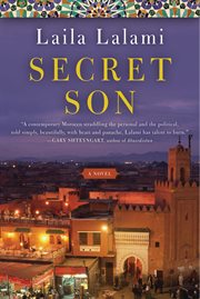Secret son : a novel cover image