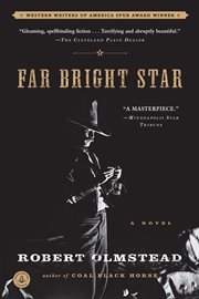 Far bright star : a novel cover image