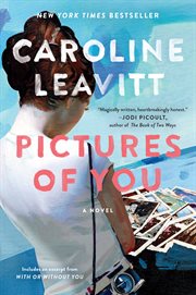 Pictures of you : a novel cover image