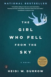 The girl who fell from the sky : a novel cover image