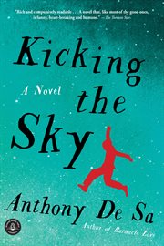 Kicking the sky : a novel cover image