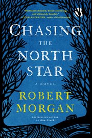 Chasing the North Star : a novel cover image