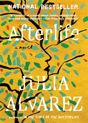 Afterlife : a novel cover image