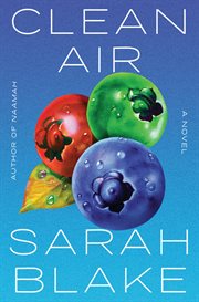 Clean air : a novel cover image