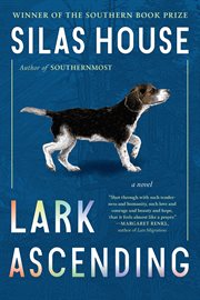 Lark ascending : a novel cover image