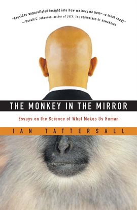 Cover image for The Monkey in the Mirror