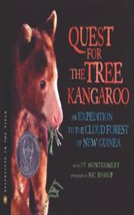 Cover image for The Quest for the Tree Kangaroo