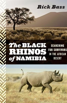 Cover image for The Black Rhinos of Namibia