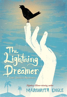 Cover image for The Lightning Dreamer