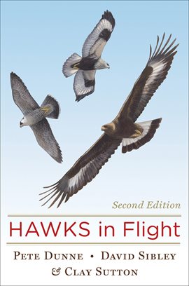 Cover image for Hawks in Flight