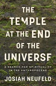 Temple at the End of the Universe cover image