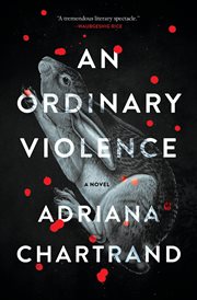 An Ordinary Violence cover image