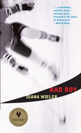 Cover image for Bad Boy