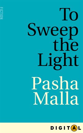 Cover image for To Sweep the Light