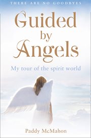 There are no goodbyes : guided by angels - my tour of the spirit world cover image