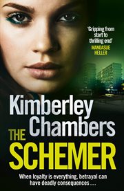 The schemer cover image