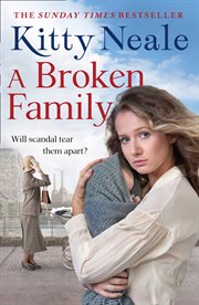 A broken family cover image