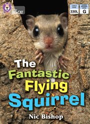 The Fantastic Flying Squirrel: Band 04/Blue : Band 04/Blue cover image