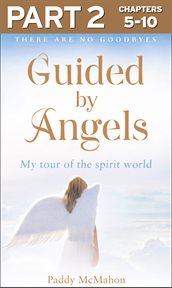There Are No Goodbyes, My Tour of the Spirit World : Guided By Angels cover image