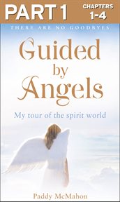 Guided by Angels: Part 1 of 3: There Are No Goodbyes, My Tour of the Spirit World : Part 1 of 3 cover image