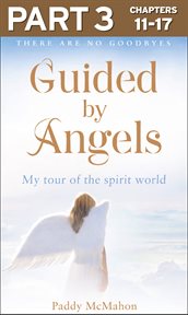 There Are No Goodbyes, My Tour of the Spirit World : Guided By Angels cover image