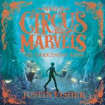 The Darkening King : Ned's Circus of Marvels, Book 3 cover image