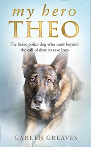 My hero Theo cover image
